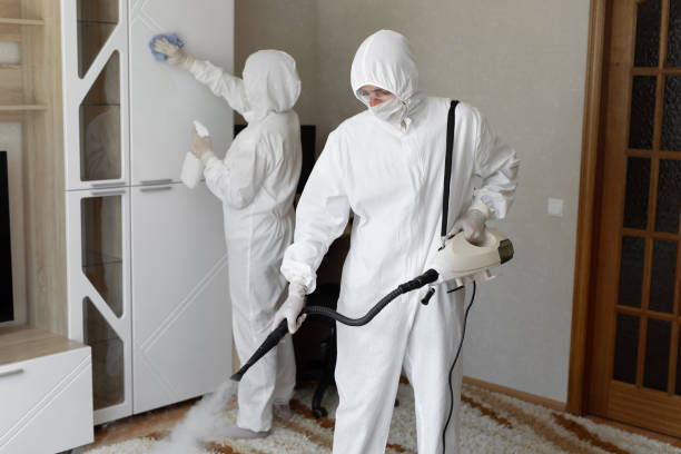 Mold Documentation for Insurance Claims